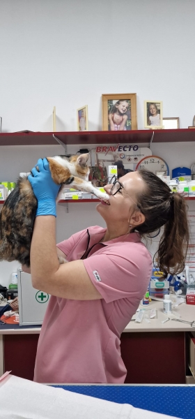 Mirciu Denisa - medic veterinar